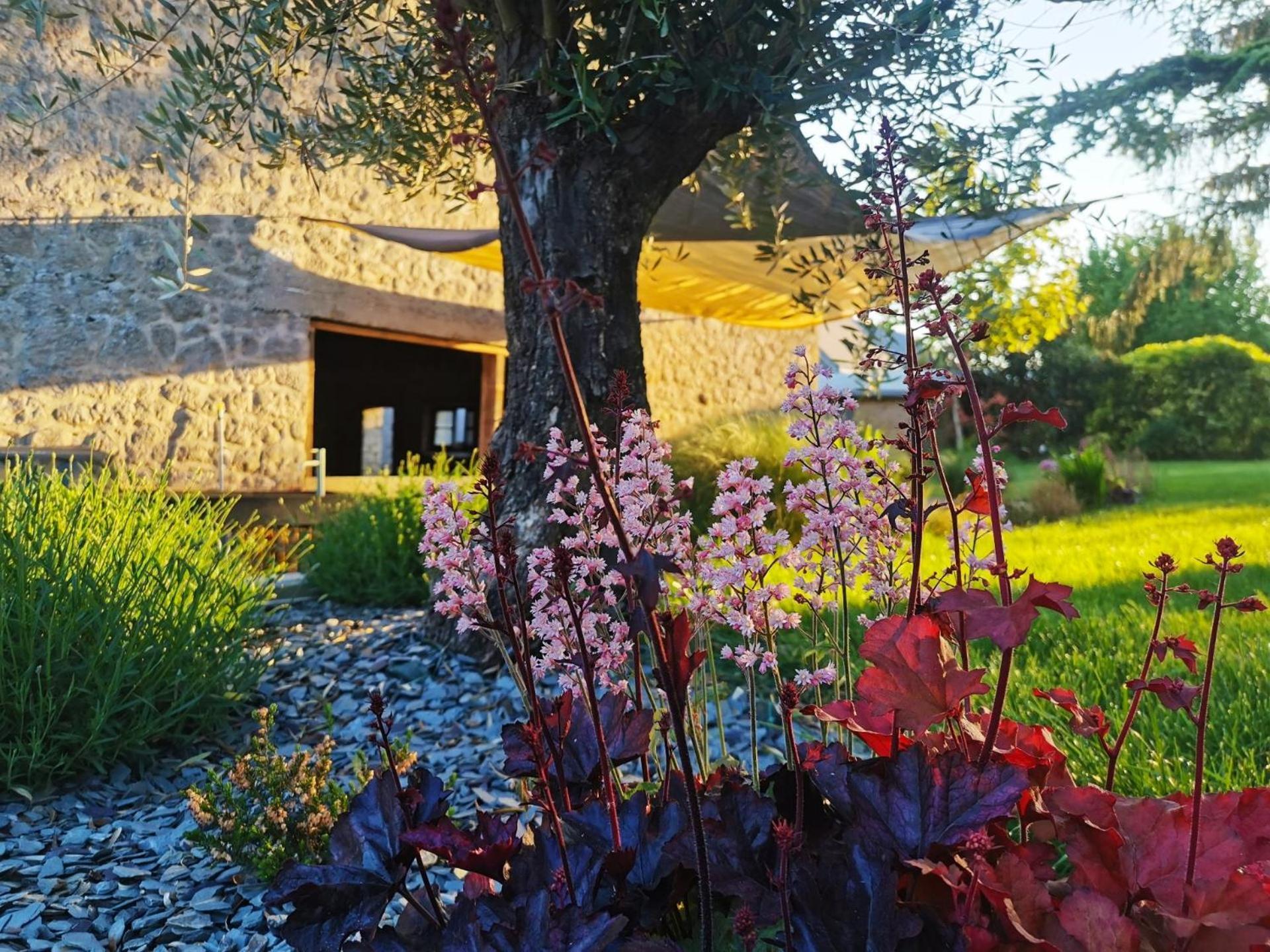 Hedoniste 1 Villa Herpy-l'Arlesienne Kültér fotó